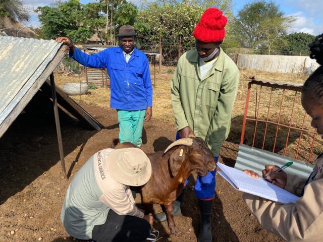 Field work photo 3