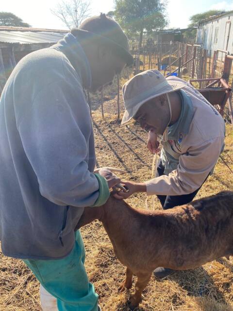Field work photo 6