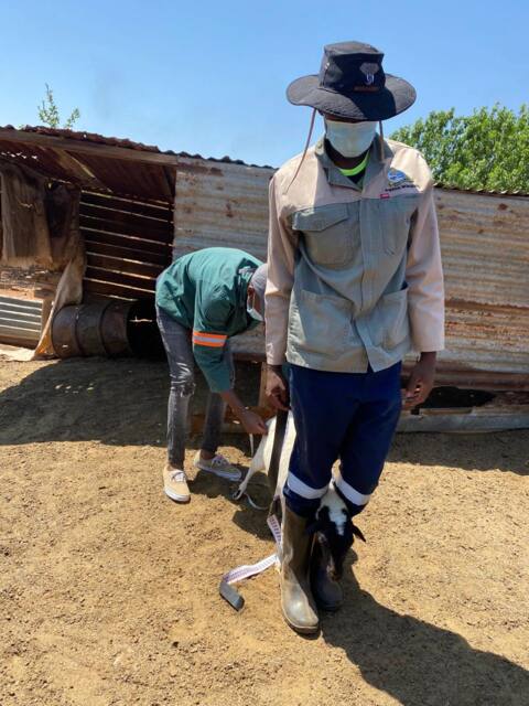 Field work photo 18