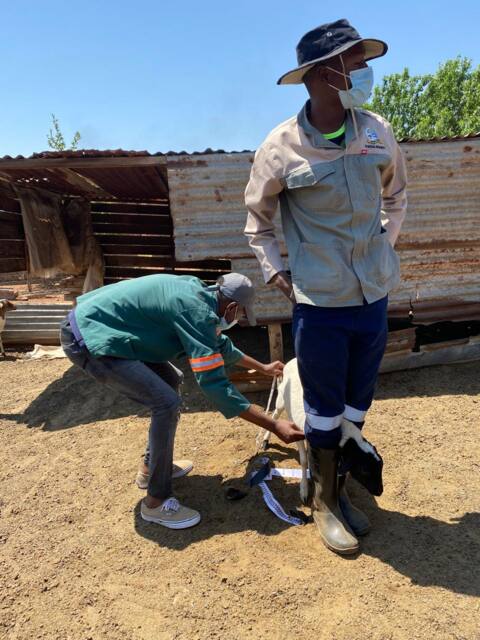 Field work photo 19