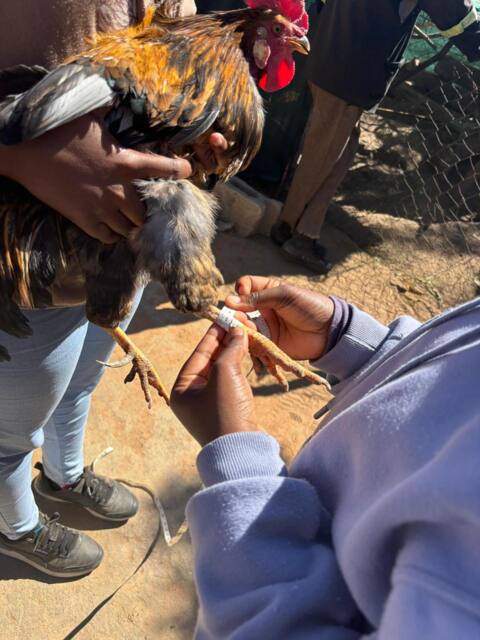Field work photo 39
