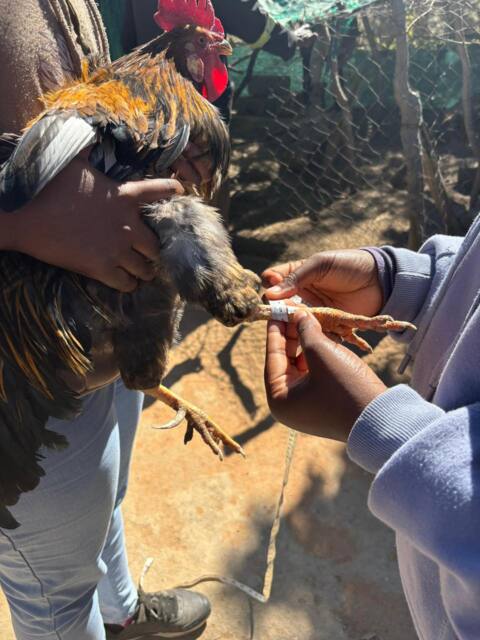 Field work photo 40