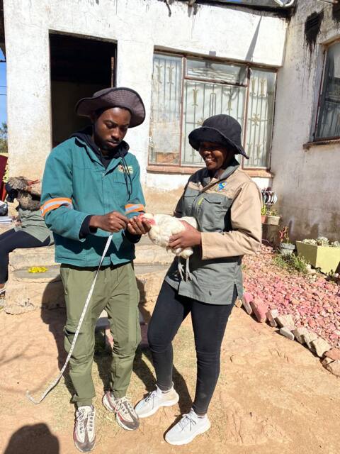 Field work photo 43