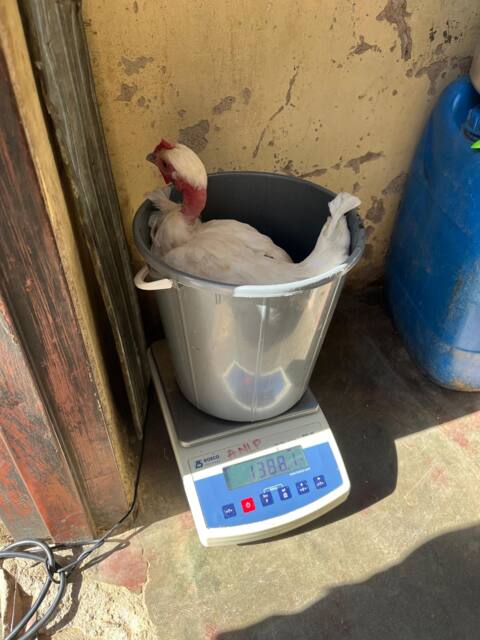 Field work photo 47