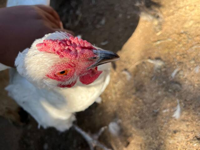 Field work photo 49