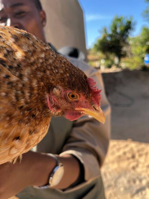 Field work photo 61