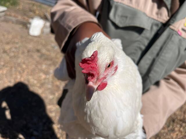 Field work photo 73