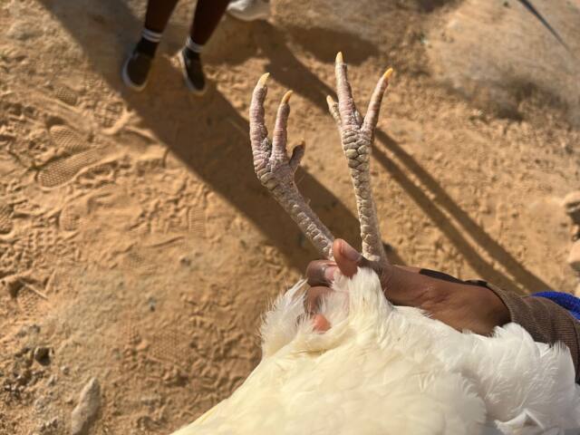 Field work photo 77