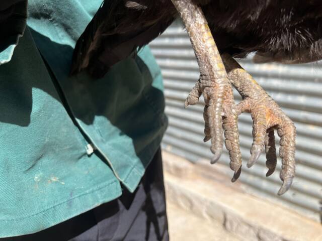 Field work photo 84