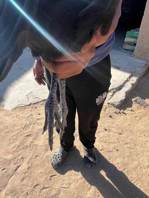 Field work photo 89