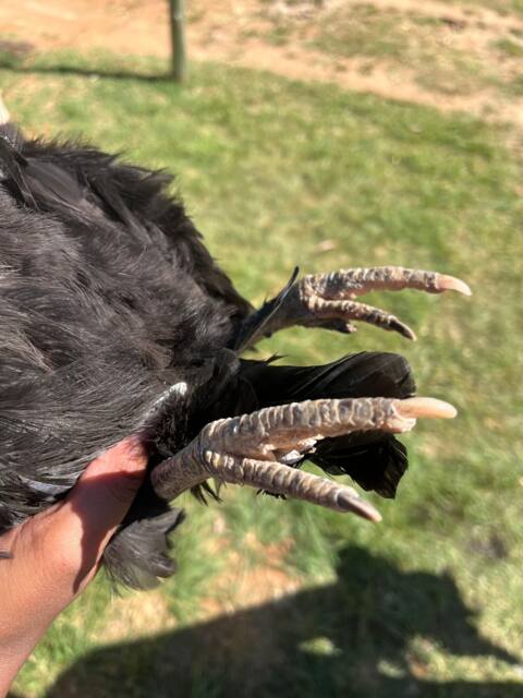 Field work photo 97