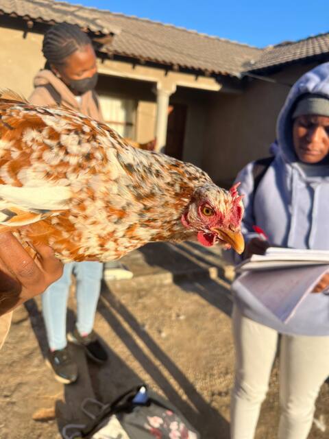 Field work photo 105