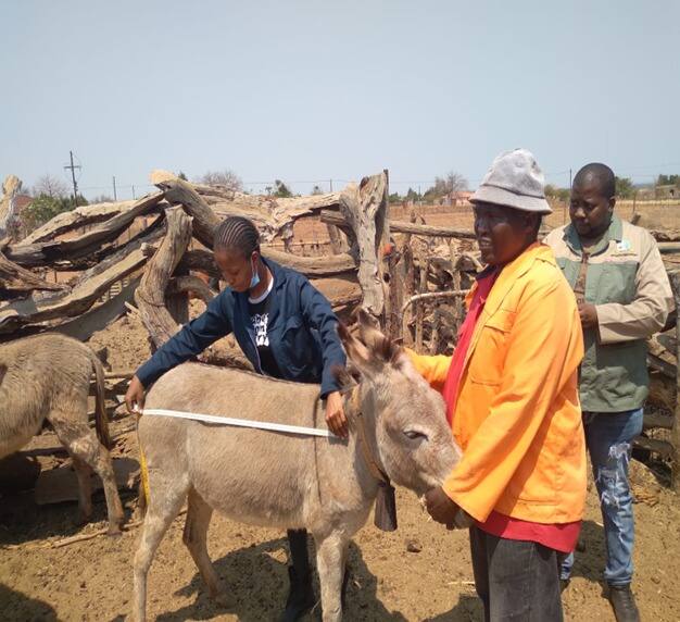 Field work photo 136