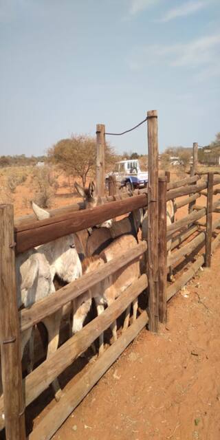 Field work photo 137