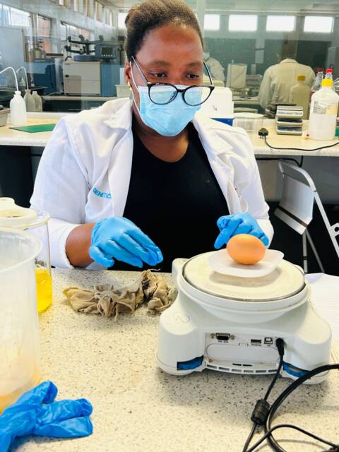 Ms Hlokoe recording egg weight