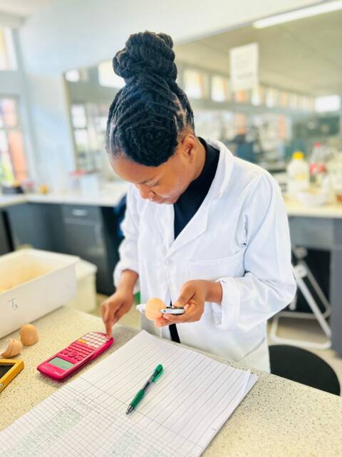 Determining weight of ovarian follicles