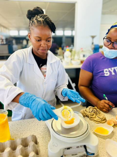 Lab work photo 21