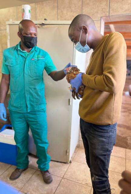 Lab work photo 25
