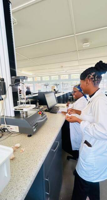 Lab work photo 27