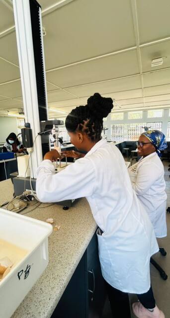 Lab work photo 30