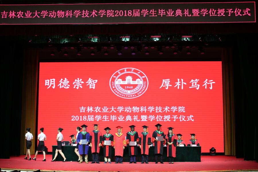 Graduate at a graduation ceremony